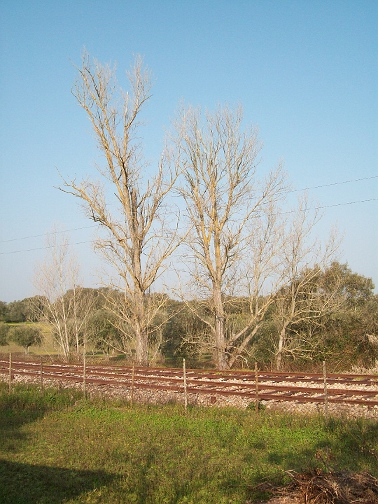 2009_portugal 130